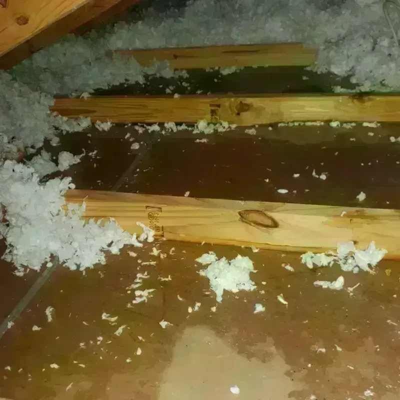 Attic Water Damage in Milford, NE