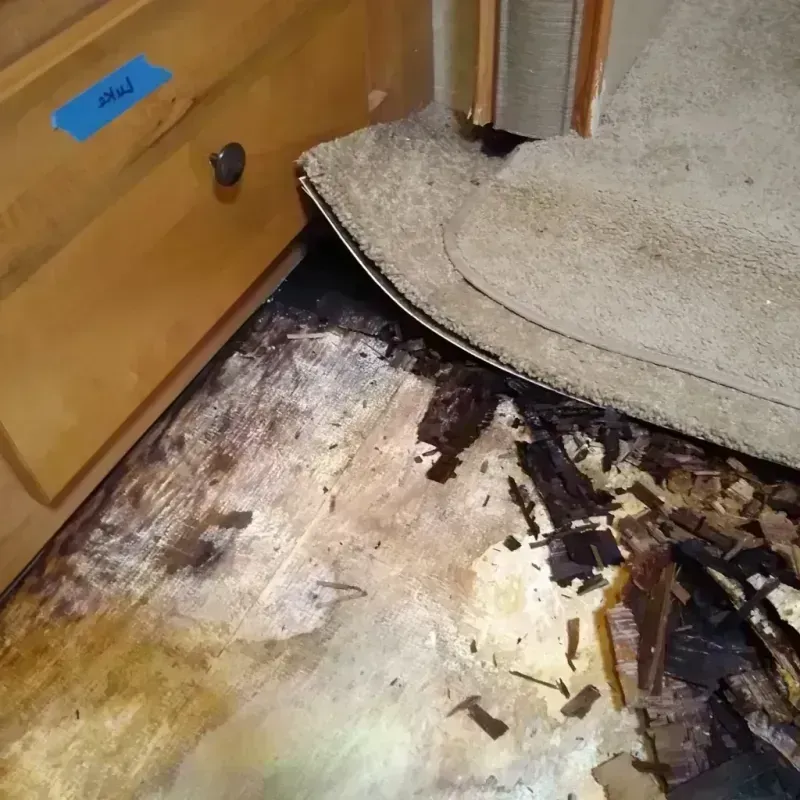 Best Wood Floor Water Damage Service in Milford, NE